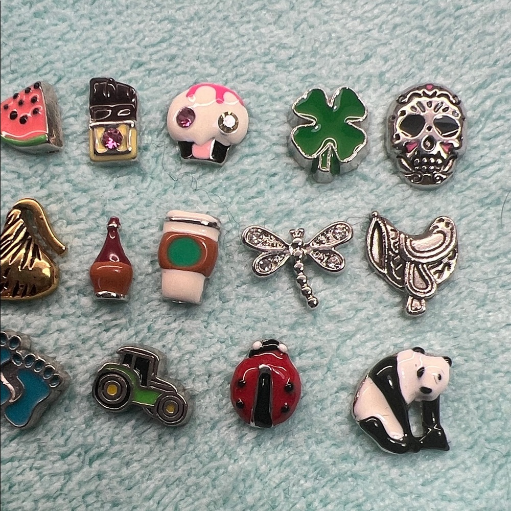 Floating Locket Charms - Picture 3 of 3